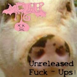 Motherpig : Unreleased Fuck-Ups